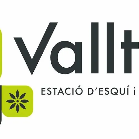 Llanars, En Vall De Camprodon Vistas Montana De Frente, Ascensor, Orientacion Sur, Chimenea, Wifi, Mollo Park, Vallter, Hipica, Golf Appartement