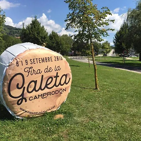 Llanars, En Vall De Camprodon Vistas Montana De Frente, Ascensor, Orientacion Sur, Chimenea, Wifi, Mollo Park, Vallter, Hipica, Golf Llanars